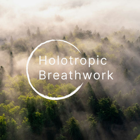 Holotropic Workshop
